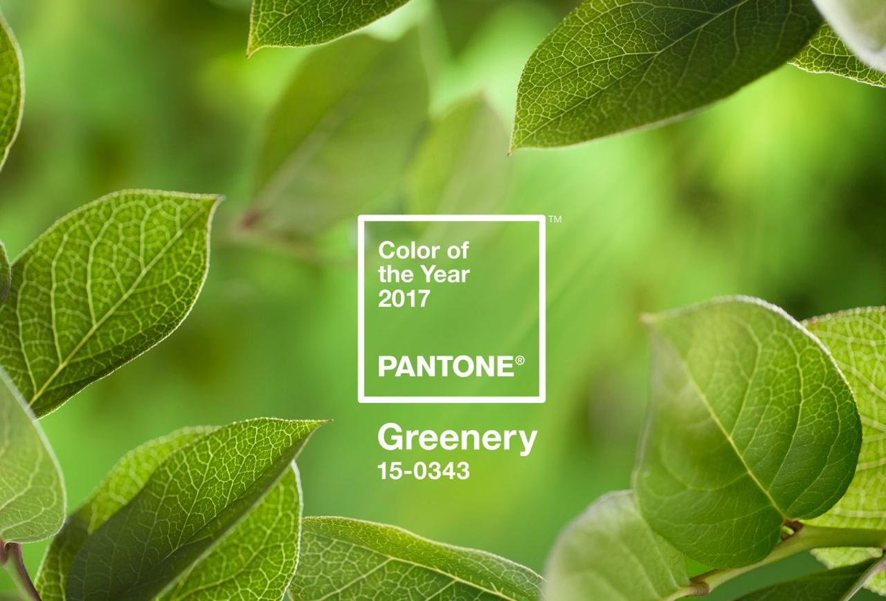 pantone-color-of-the-year-2017-greenery-15-0343-leaves-2732x2048-1200x900